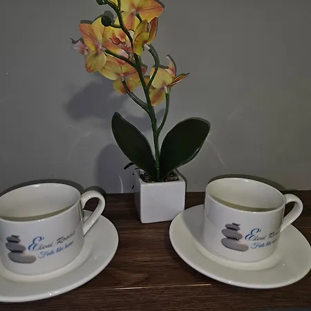 Apartment Lux Apartman Eleni Rooms,oaza Mira I Tisine U Centru Vrnjacke Banje Vrnjacka Banja
